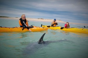 a family enjoying a kayak tour in Victor Harbor