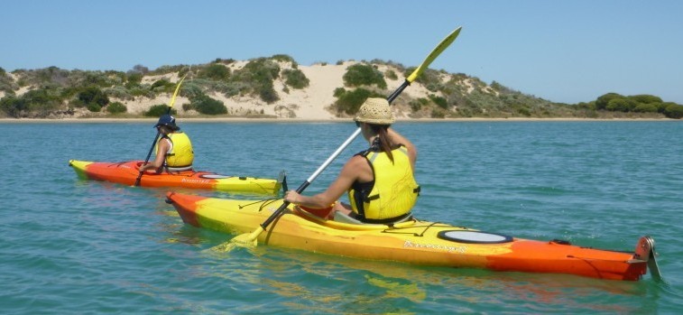 kayaking in a Canoe the Coorong tour